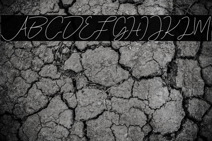 EvelineCara Example 3