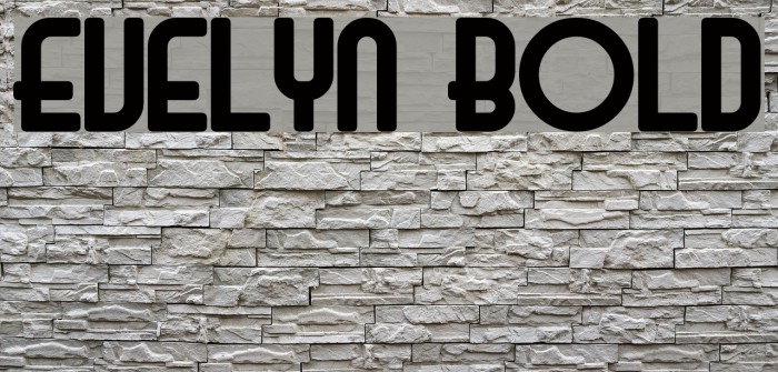 Evelyn Bold Font examples