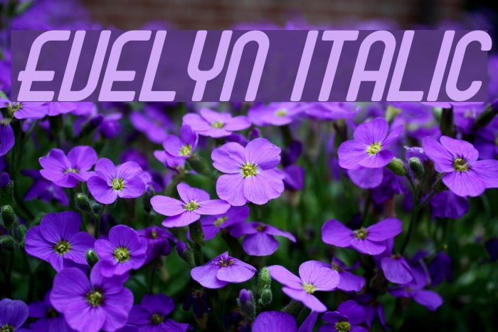 Evelyn Italic Font examples