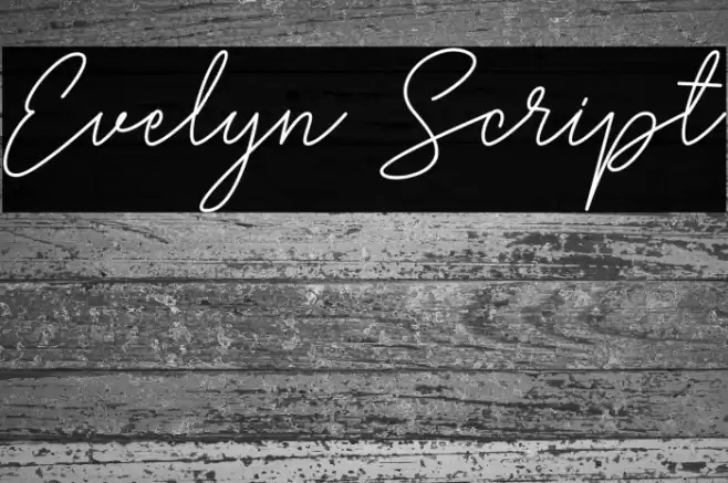 Evelyn Script Font examples