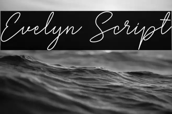 Evelyn Script Font examples