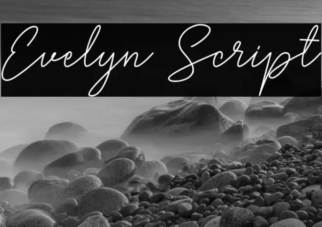 Evelyn Script Font examples