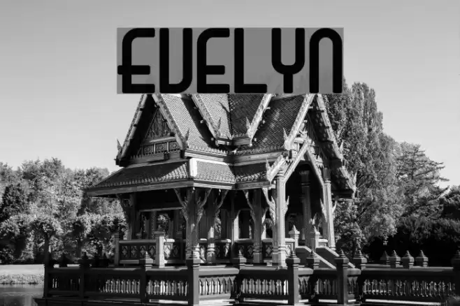 Evelyn Font examples