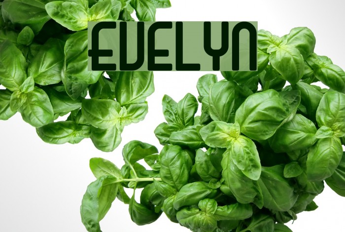 Evelyn 字体 examples