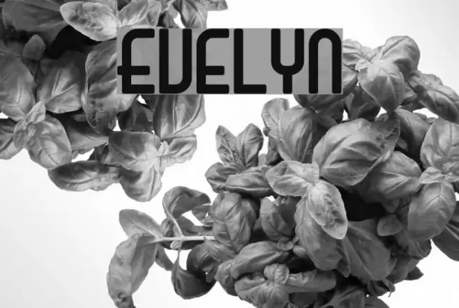 Evelyn Font examples