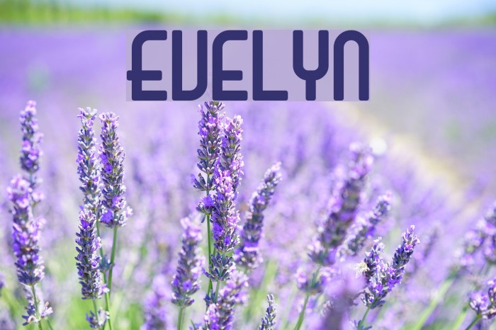 Evelyn 字体 examples