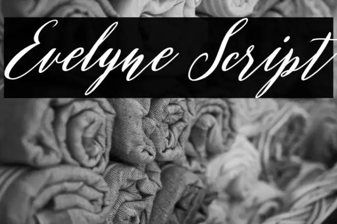Evelyne Script Font examples