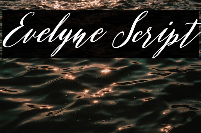 Evelyne Script Example 2