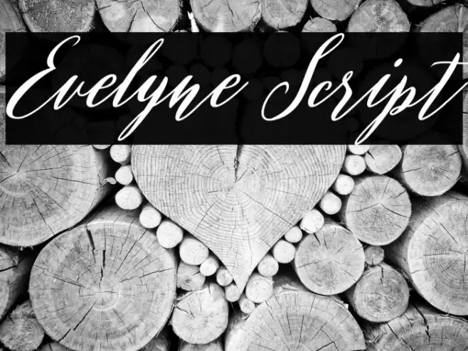 Evelyne Script Font examples