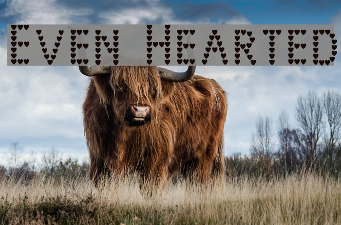 Even Hearted Example 3