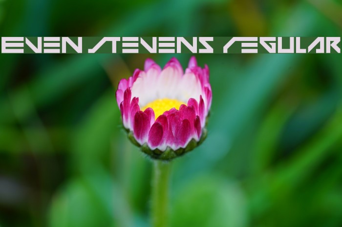Even Stevens Regular Font examples