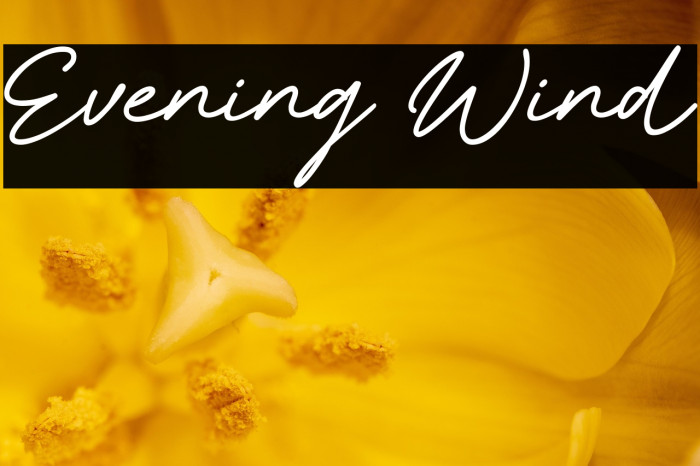 Evening Wind Example 3