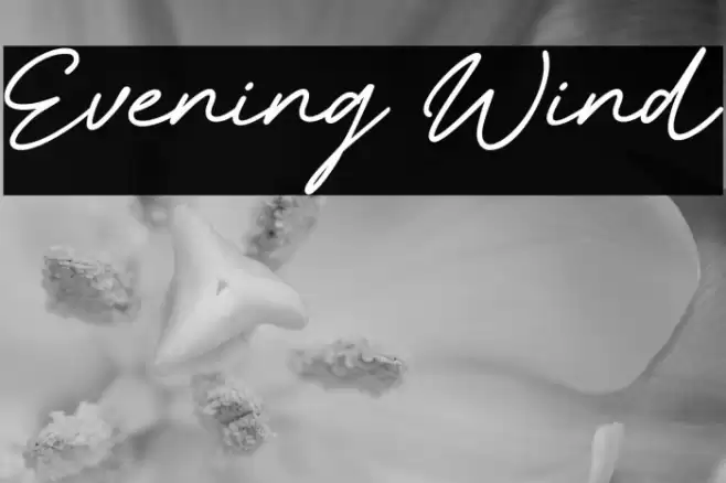 Evening Wind Caratteri examples