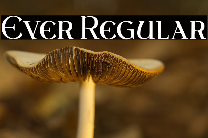 Ever Regular Example 1