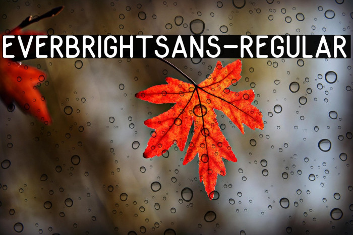 EverbrightSans-Regular Example 3