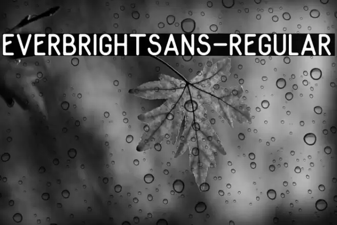 EverbrightSans-Regular Шрифта examples