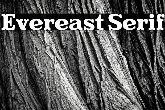 Evereast Serif Example 1