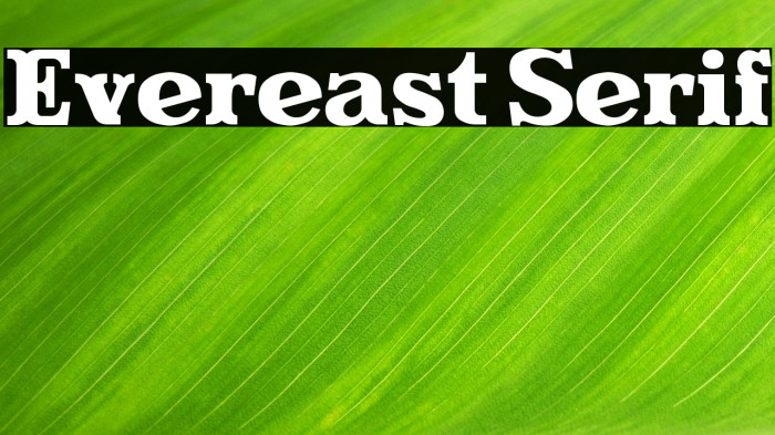 Evereast Serif Example 2