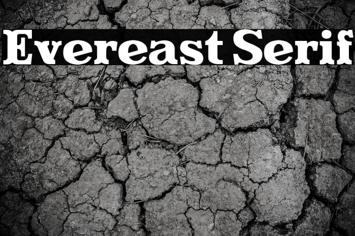 Evereast Serif Example 3