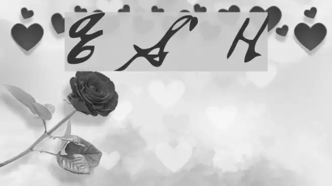 Everett Steele's Hand Polices examples