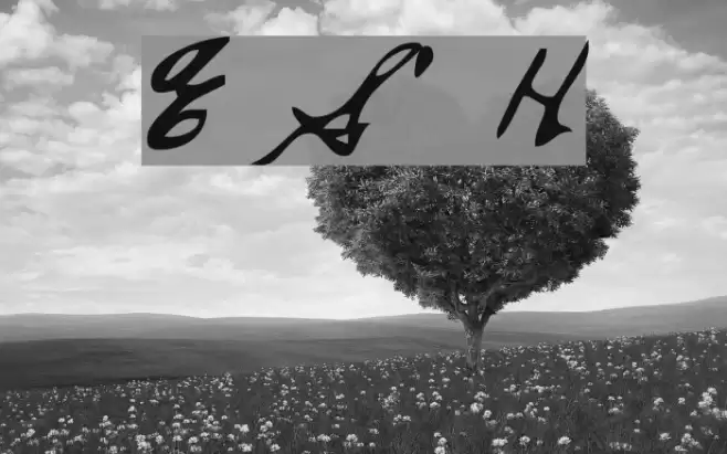 Everett Steele's Hand Polices examples