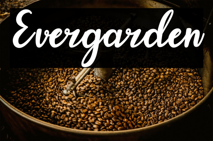 Evergarden Example 2