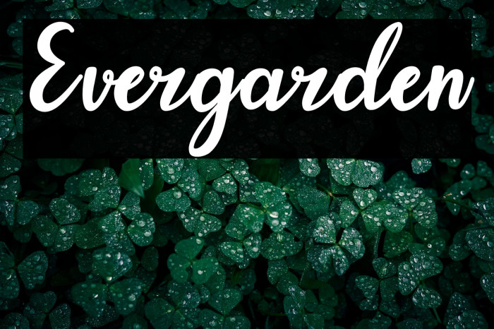 Evergarden Example 3