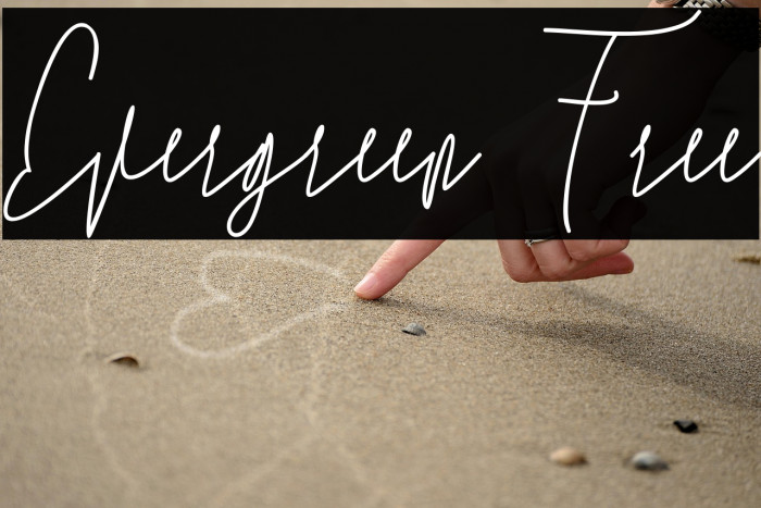 Evergreen Free Example 1