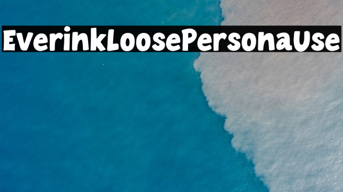 Everink Loose - Personal Use Example 2