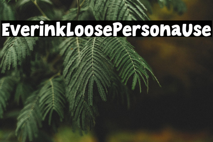 Everink Loose - Personal Use Example 3