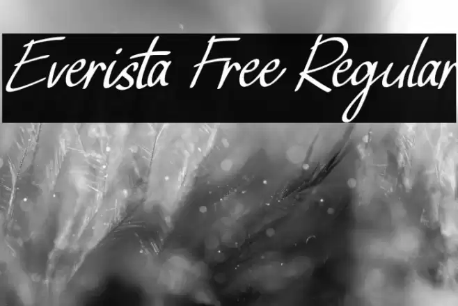 Everista Free Regular Font examples