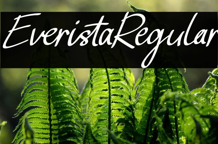 Everista Regular Example 2