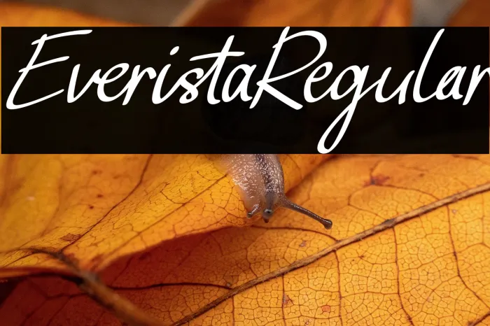 Everista Regular Example 3