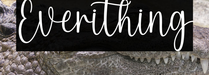 Everithing Example 2