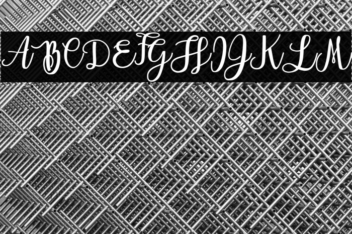 Everlast Personal Use Example 1