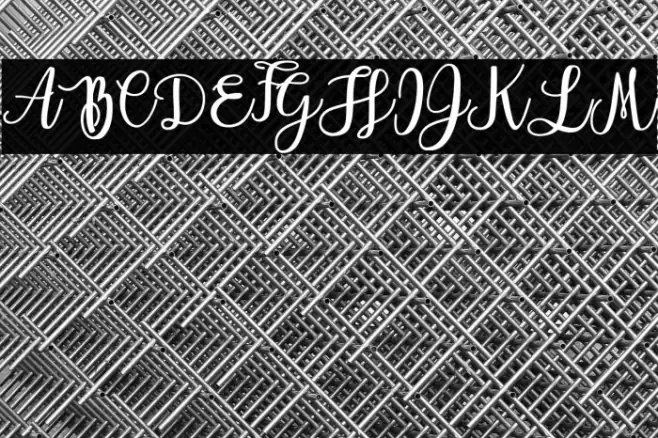 Everlast Personal Use Example 1