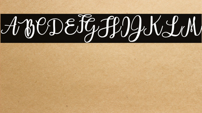 Everlast Personal Use Example 2