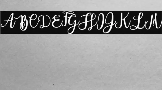 Everlast Personal Use Example 2