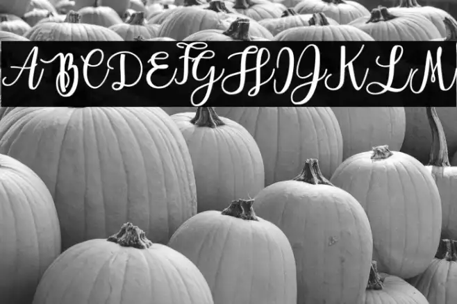 Everlast Personal Use Example 3