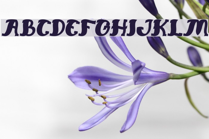 Everlasting Song Bold Italic Font examples