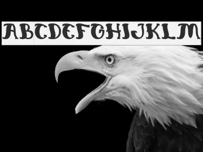 Everlasting Song-Negative Font examples