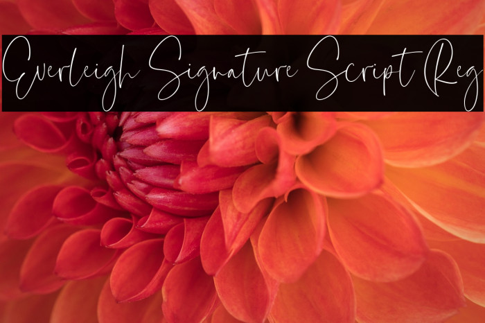 Everleigh Signature Script Reg Example 1