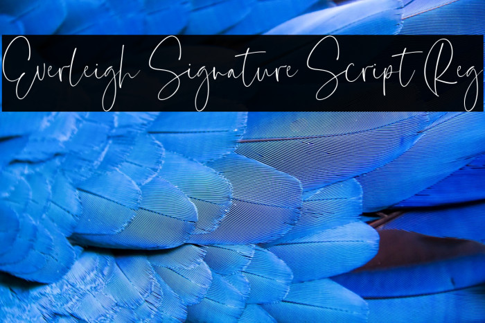 Everleigh Signature Script Reg Example 2