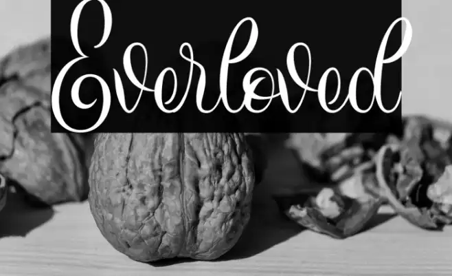 Everloved Example 1