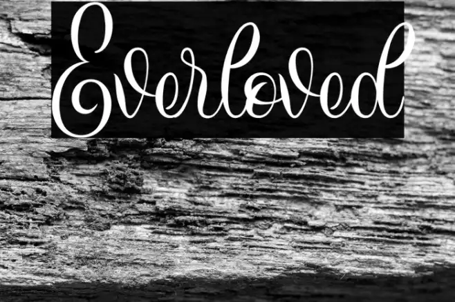 Everloved Example 2