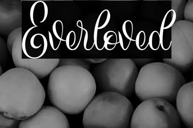 Everloved Example 3