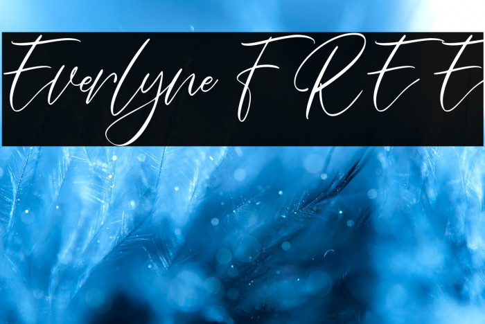 Everlyne FREE Example 1