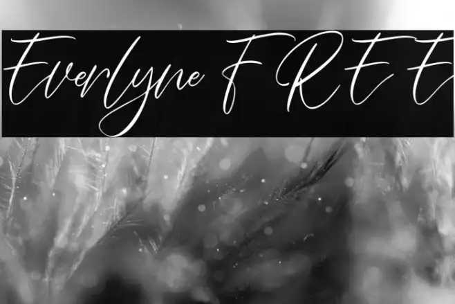 Everlyne FREE Example 1