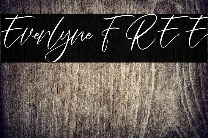 Everlyne FREE Example 3