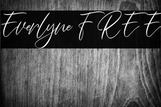 Everlyne FREE Example 3